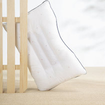 远梦枕头抑菌防螨荞麦枕单人枕芯枕头定型枕45*70 荞麦壳填充 抑菌面料