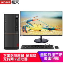 联想(Lenovo)扬天商用T4900D台式电脑 I5-7400 8G 1T 2G独显 DVD刻录 可以装win7系统(店铺定制1T+256G固态 23.8英寸窄边框)