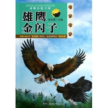 动物小说王国.雄鹰金闪子