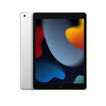 Apple iPad 10.2英寸 平板电脑 2021年新款（WLAN版/A13芯片/1200万像素/2160分辨率）(银色 wifi版)