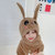 会动的兔耳朵帽子儿童围巾一体秋冬季女童可爱男童2021宝宝保暖帽(2-4岁+一捏耳朵会动 仿兔绒-卡其色)
