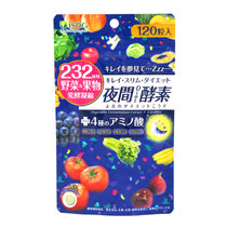 医食同源ISDG日本进口夜间酵素塑身美体 232种果蔬发酵   120粒/袋(1袋 120粒/袋)
