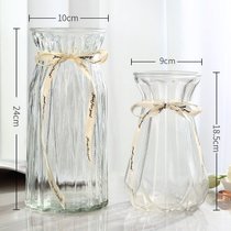创意花瓶玻璃透明水养客厅摆件鲜花插花瓶北欧简约富贵竹干花花瓶(24CM浪漫+18折纸2件套【透明】中 默认版本)