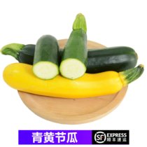 【顺丰】青黄西葫芦 青节瓜 黄节瓜 炒菜煲汤食材 500g