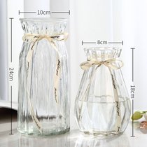 创意花瓶玻璃透明水养客厅摆件鲜花插花瓶北欧简约富贵竹干花花瓶(24CM浪漫+18新诺2件【透明】中等 默认版本)