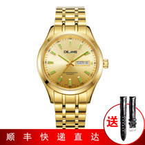 帝浪(DILANG)手表男进口自动机械机芯钢带皮带双日历商务金色V80(全金色)