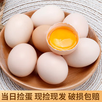 新鲜鸡蛋  农家土鸡蛋柴鸡蛋 五谷喂养 蛋香浓郁(20枚)