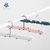 日本AKAW爱家屋旅行可折叠收纳衣架便携旅游多功能挂衣架出差户外千雪折叠衣架(深蓝色)第2张高清大图