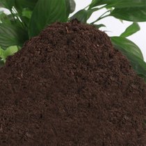 俊采云ZMQ1营养土养花土种菜绿萝多肉肥料通用型盆栽花卉有机种植土壤 （单位：袋）(黑色 ZMQ1)