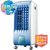 先锋（Singfun）DG3302单冷型冷风扇/空调扇