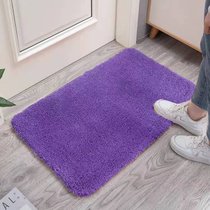 地垫地毯进门卧室卫生间吸水防滑垫入户门垫家用浴室厨房垫子床边(60*90cm 绒紫色)