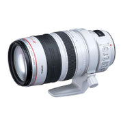 佳能（Canon）EF 28-300mm f/3.5-5.6L IS 镜头（28-300 中长焦镜头）(官方标配)(套餐一)