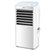 格力(GREE)  空调扇 机械款冷风扇电风扇空调扇移动空调扇KS-10X60