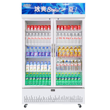 五洲伯乐（WUZHOUBOLE）商用冰柜展示柜保鲜柜立式冷藏柜商用展示柜双门三门饮料柜冷柜啤酒柜(LC-708)