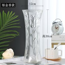 玻璃花瓶透明水养富贵竹百合花瓶摆件客厅插花干花北欧家用特大号(郁金香款（1只） 大)