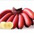 新鲜大蕉/芭蕉 新鲜水果产地直发广东农家特产非粉蕉banana*9(100斤)