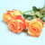 花港码头 鲜花超市 单枝玫瑰 选用云南A级鲜花花材 满59元包邮(金辉红黄)