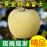 【超脆甜好吃】当季山东黄金奶油富士苹果10/5/3斤脆甜多汁批发(3斤装（单果80g起）)