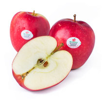 【果郡王】新西兰红玫瑰苹果12粒装 皇后苹果 甜苹果 新鲜进口水果