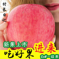 脆甜新鲜苹果水果山东烟台栖霞红富士特产5斤苹果脆(80mm（含）-85mm（不含） 10斤)