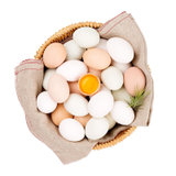【当天现捡现发】黄河滩区农家潵养土鸡蛋草鸡蛋新鲜柴鸡蛋笨鸡蛋(鸡蛋 试吃10个土鸡蛋)