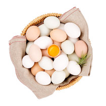 【当天现捡现发】黄河滩区农家潵养土鸡蛋草鸡蛋新鲜柴鸡蛋笨鸡蛋(鸡蛋 超值40个土鸡蛋)