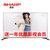夏普（SHARP)LCD-45T45A 45英寸LED液晶网络智能平板电视