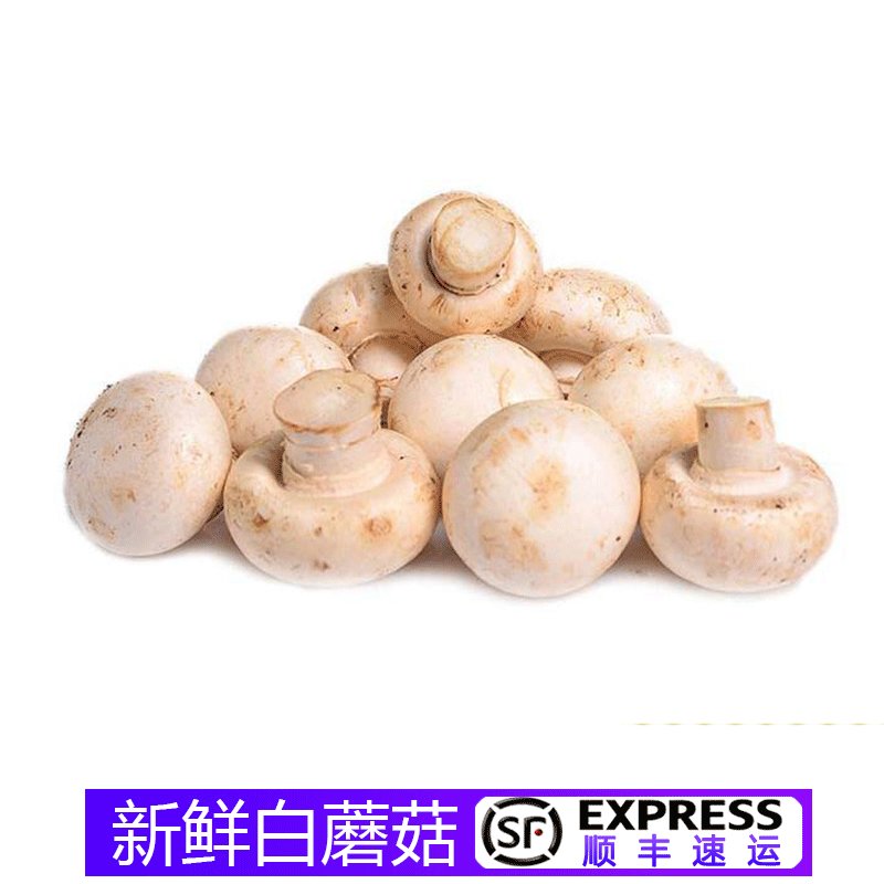 顺丰口蘑新鲜白蘑菇食用菌菇口菇500g