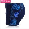 特价正品动点2013新款游泳衣 男 时尚平角泳裤 加肥加大码游泳裤(蓝珊瑚 XL)