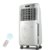 格力大松（Gree）空调扇 KS-0505D-WG 制冷家用冷风扇单冷型冷风机遥控冷气扇移动小空调扇 白色