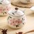日式家用手绘陶瓷调味罐套装单个装厨房用品油盐酱料储物调味盒(年年有余调味罐套装（勺子+低座) 陶瓷1)