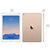 【二手95成新】苹果iPad Air 2（128GB/WiFi版）金色 国行 在保(金色 wifi版)