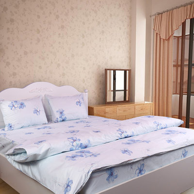 件套 进口防螨虫床品 预防尘螨粉螨虫过敏原 健