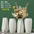 白色陶瓷花瓶花盆水养北欧现代创意家居客厅餐厅干花插花装饰摆件(卖家推荐4个花瓶 中小)