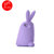 爱您纳（Aainina）苹果5/5S手机壳 可爱硅胶保护套立体兔子胖胖兔防摔壳(浅紫)