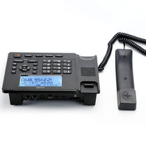 特锐特T538电话机家用固定座机商务办公通话SD卡录音 黑色