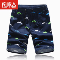 南极人夏季男士印花宽松潮男韩国风情 休闲沙滩短裤(21041海豚)