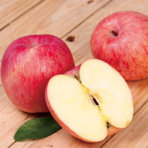 国美真选 陕北黄土高坡红富士苹果#75-80mm一级果12枚装 净重约4.5斤 沁甜多汁  霜降苹果  产地直发