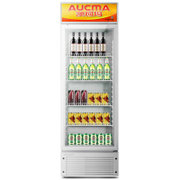 澳柯玛(AUCMA)SC-229 229升单温 冷藏保鲜柜 立式展示冰柜 冷柜 商用冰箱 陈列柜 饮料柜 冷藏保鲜 冷柜