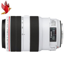 佳能（Canon） EF 70-300mm f/4-5.6L IS USM红圈长焦'适用于体育摄影、野生动物到风光摄影等(官方标配)