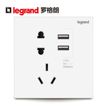罗格朗Legrand开关插座5五孔面板暗装带usb墙面墙壁电源家用充电86型USB五孔插座(USB五孔（仕典玉兰白）)