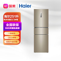 海尔(Haier) 251升 三门 冰箱 干湿分储 BCD-251WDPTU1炫金