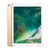 苹果Apple iPad Pro 12.9英寸  平板电脑(金色 WIFI版+Cellular版)