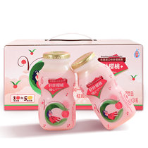 宜养针叶樱桃乳酸菌100g*24瓶酸甜美味 礼盒装 72小时发酵 零脂肪