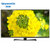 创维（Skyworth）32E361S 32英寸 液晶电视 平板电视