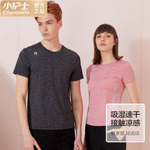 小护士内衣男女透气速干冰感运动健身短袖t恤上衣SGD003(灰色 175/XL)