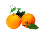 深山农特新鲜水果 华盛顿脐橙 冰糖橙 榨汁橙 直接从树上摘下无任何处理的原生态直发华盛顿脐橙7个至16个