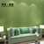 帝菲 蚕丝墙纸现代简约纯色素色无纺布 卧室客厅电视背景墙壁纸(蚕丝款-绿色)