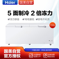 海尔 (Haier) BC/BD-720HCZ 720升 卧式冷藏冷冻柜 单温区 商用大容量冰柜 五面制冷 树脂大脚轮 白色