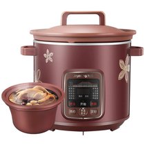 九阳（Joyoung） DGD4002AM 电炖锅紫砂陶瓷4L全自动家用炖盅煲汤煮粥